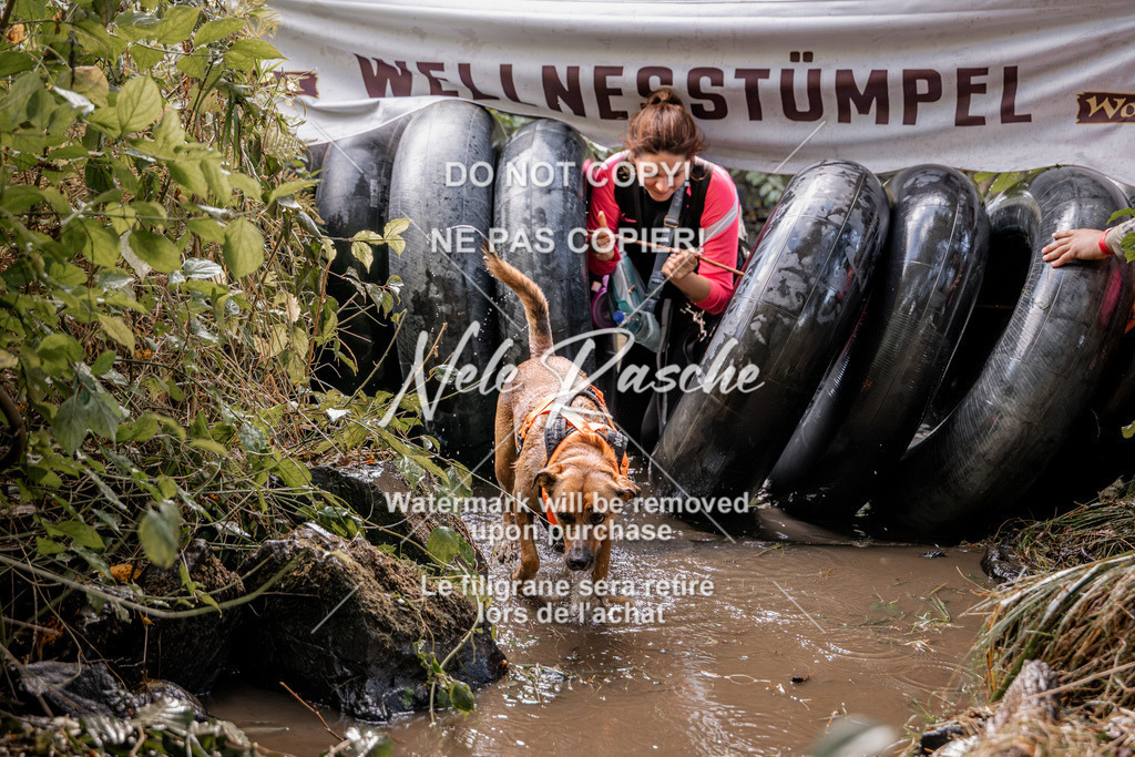 nelerasche_Hunsrück2026_Sa1400-1500_204 | nelerasche