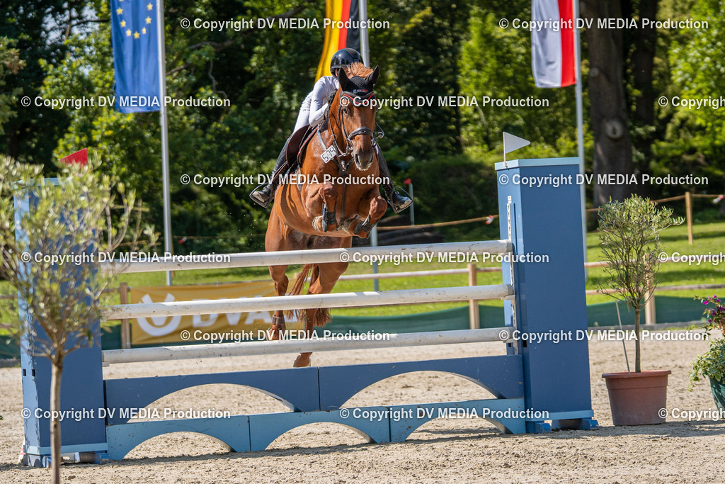 Hessische Tag 1-1605 | dv-media-shop - Realisiert mit Pictrs.com