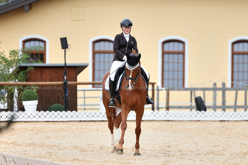 3-210-Dressur M_-StoibPH-2472 | working equitationturnier fotograf videograf stoibphotography marixx film working equitation deutschland reitsport turnierfotografie eventfotografie equestrian events