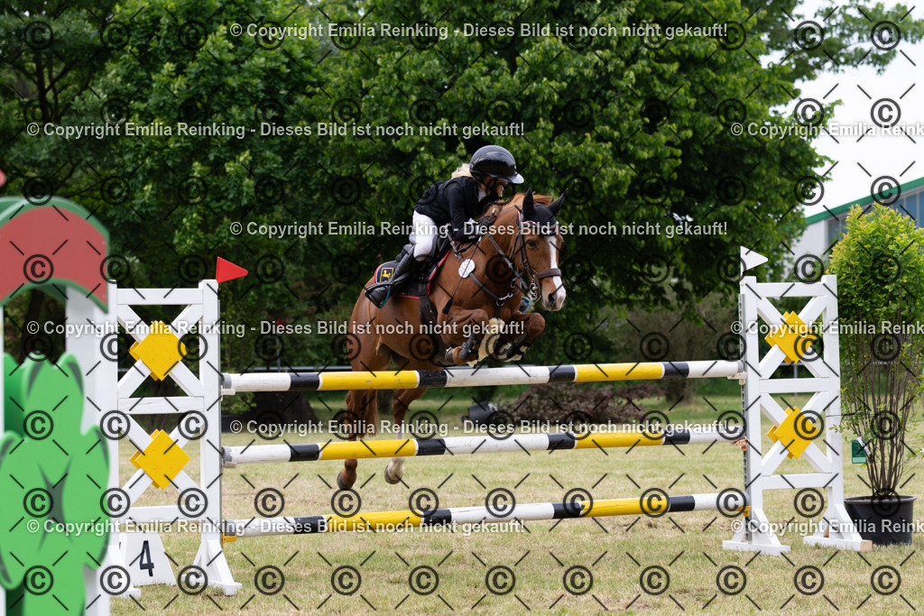 CL5A8116 | Emilia Reinking Fotografie - Realisiert mit Pictrs.com