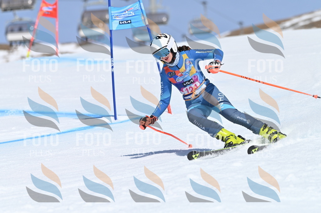 BGV_9884 | holidayphoto