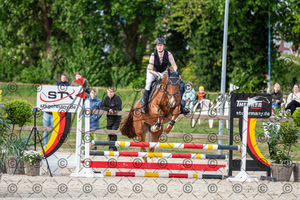 KPT_6828 | andre_photographic