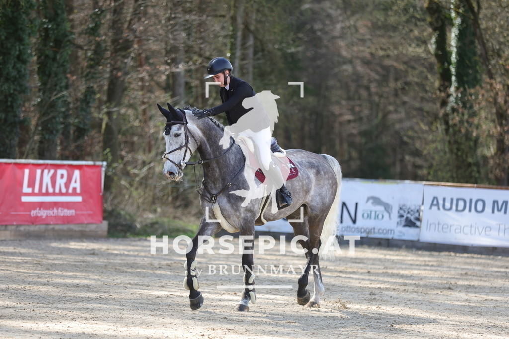 0P6A9166 | Willkommen bei Brunnmayr - Design & Fotografie – Ihrem Spezialisten für Reitturniere und Pferdeveranstaltungen in Oberösterreich, Salzburg und Bayern! Seit über 17 Jahren sind wir leidenschaftlich dabei.