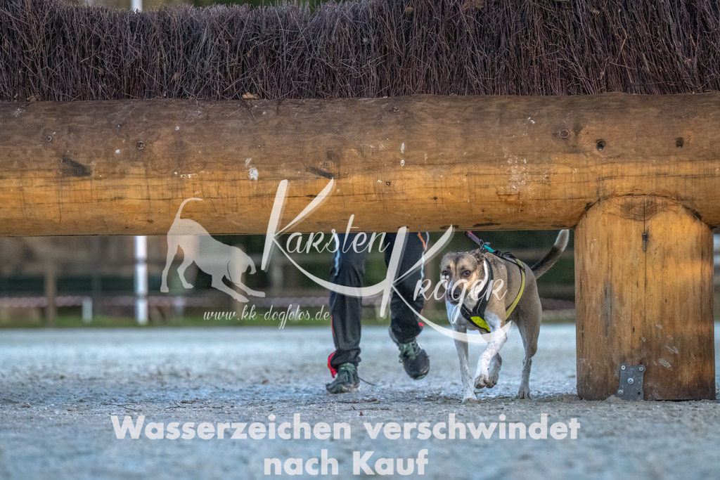 0807-00056 | kk-dogfotos