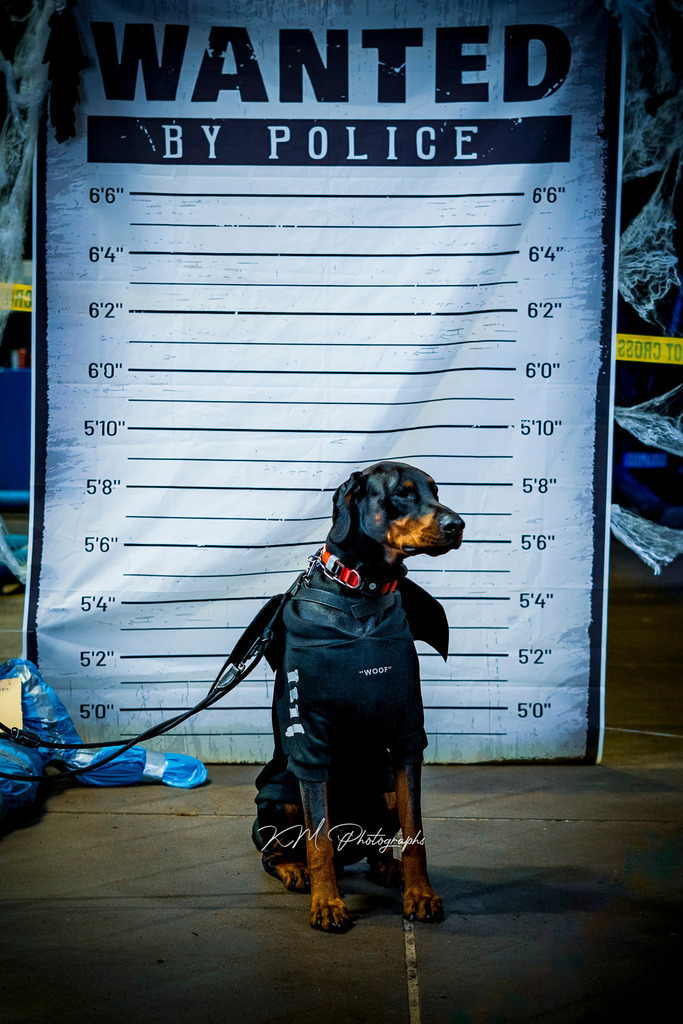 km_photographs-1901 | KM-Photographs, Shootings in Bremen und umzu.Weitere Tags:Foto , Bilder , Portrait , Auto , Kamera , Bremen , Bassum , Barrien , Kostenlos , günstig , Bilder , Fotograf , Fotos , Pictures  - Realisiert mit Pictrs.com