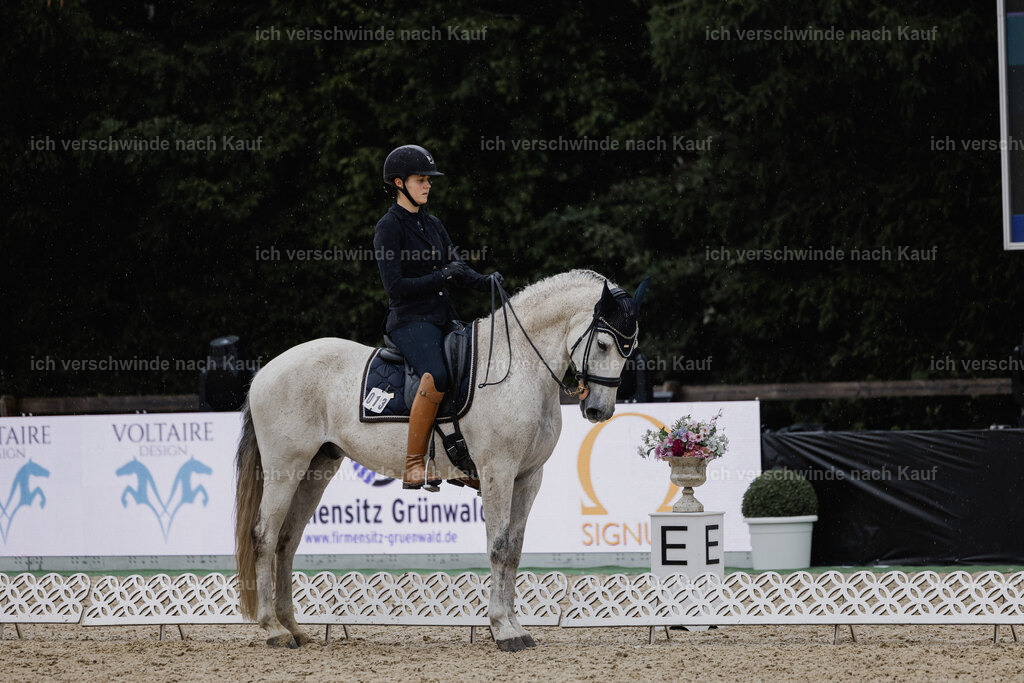 Svea13FHC2025-24657 | working equitationturnier fotograf videograf stoibphotography marixx film working equitation deutschland reitsport turnierfotografie eventfotografie equestrian events