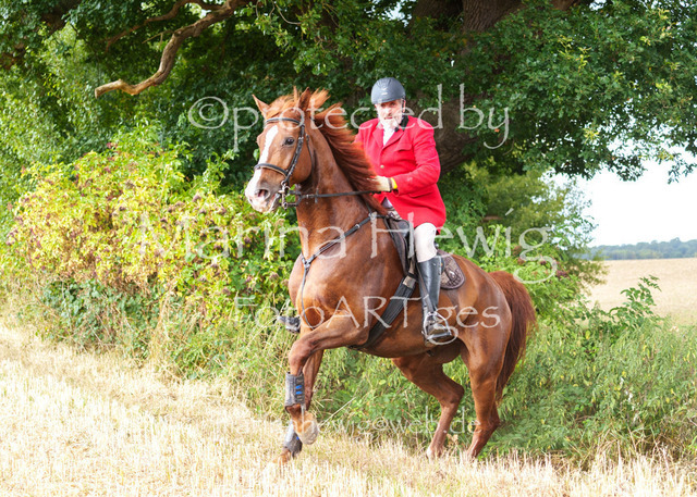 Jagd Knoop 26_MarinaHewigMCH02554 | Fotografie, FotoArt, PferdesportArt, Pferdesportfotografie, Landschaftsfotografie, Reisefotografie, Reise, Pferde - Realisiert mit Pictrs.com