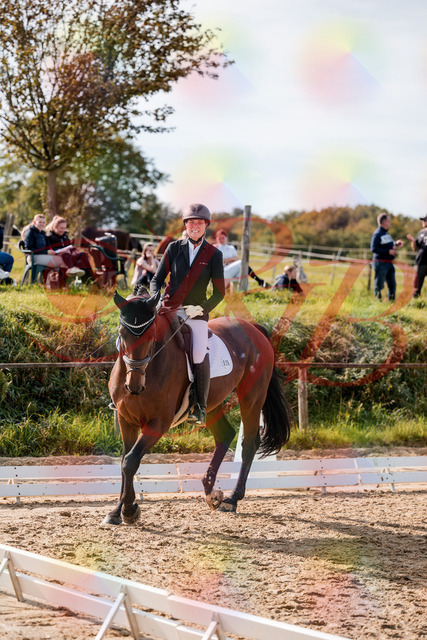 2026_10_03_Siefer-Hof_122643_Z63_47166972 | Professionelle Reitsport-, Turnier- und Eventfotografie von Robert Broda. Galerien mit ausgewählten und bearbeiteten Bildern direkt online ansehen und bestellen.
