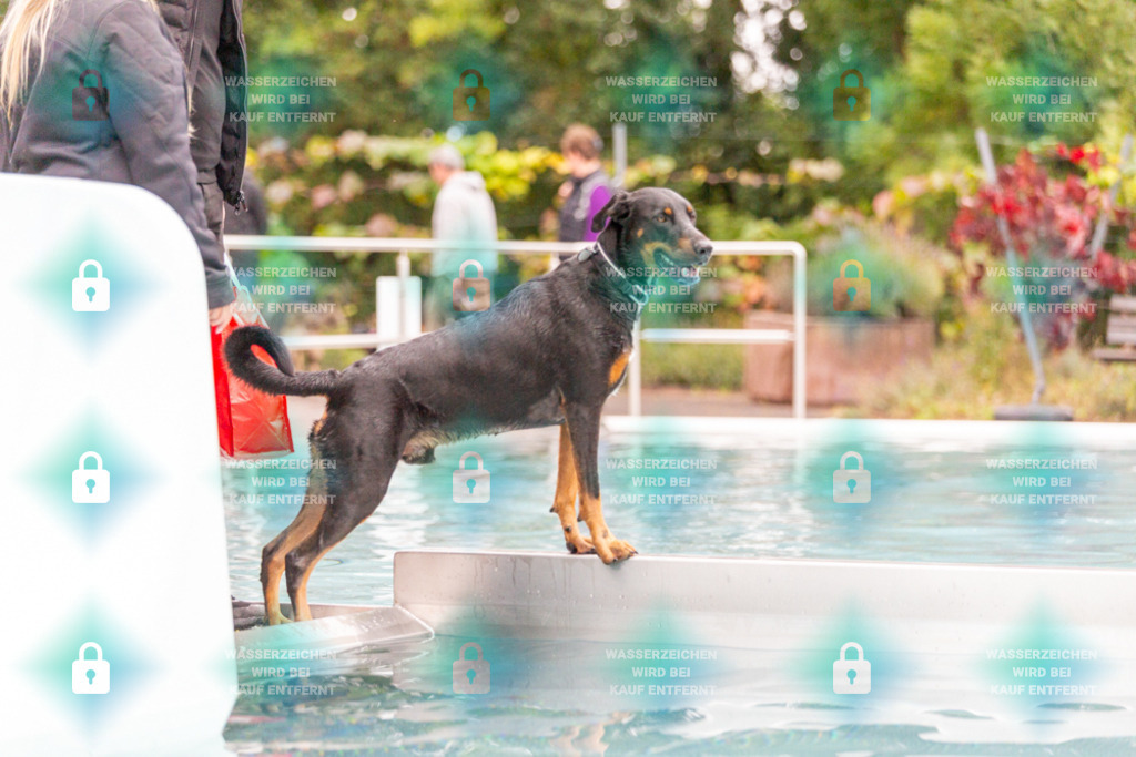 _HP_7371_1000o | HetPix, HetPix Fotodesign, Fotografie, Fotodesign, Webshop, Sportfotografie, Portraitfotografie, Onlineshop, Sportfotografie, Polch, Motorsportfotografie, Eventfotografie