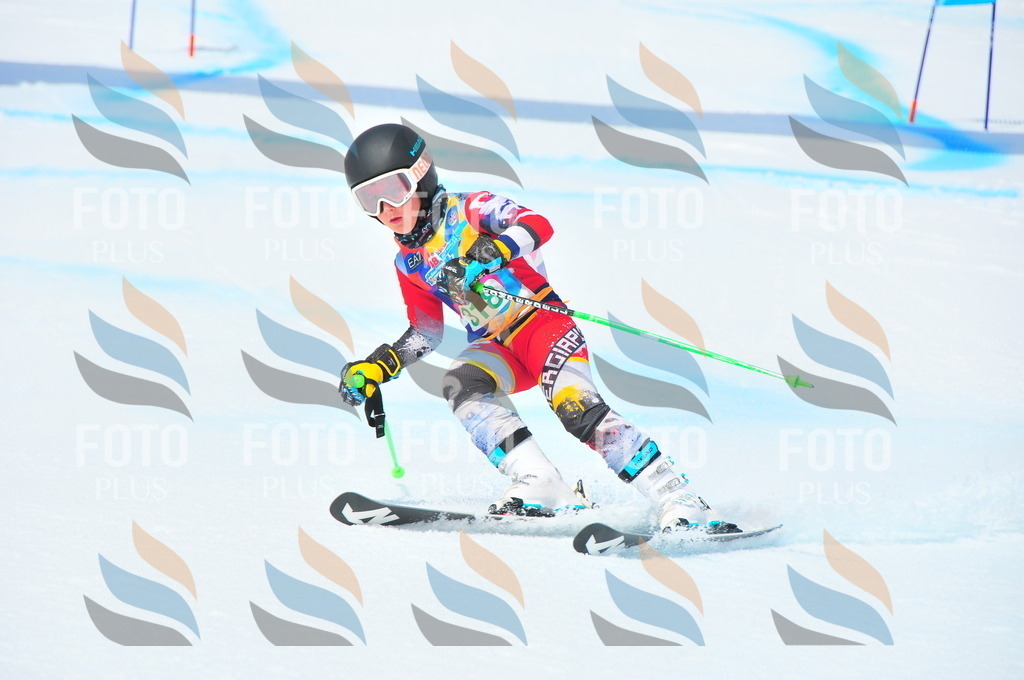 DSC_2928 | holidayphoto