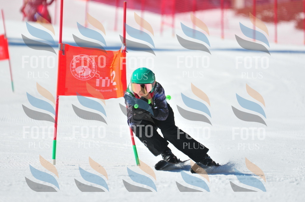 C4210 | holidayphoto