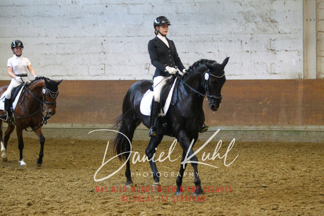 DKP44052 | Turniersportfotografie; Pferdefotografie; Dressurfotografie