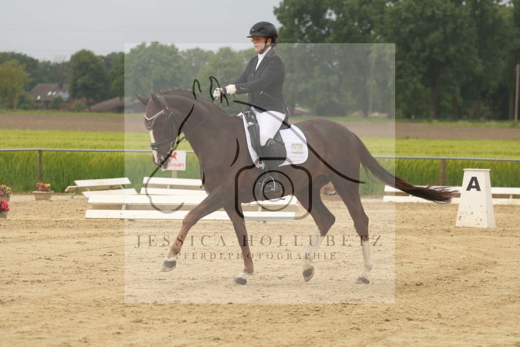 IMG_6968 | jessicahollubetz_pferdephotographie - Realisiert mit Pictrs.com