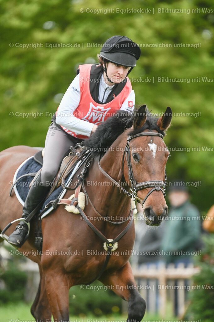 20230513_CCI2_Section1_0337 | equistock