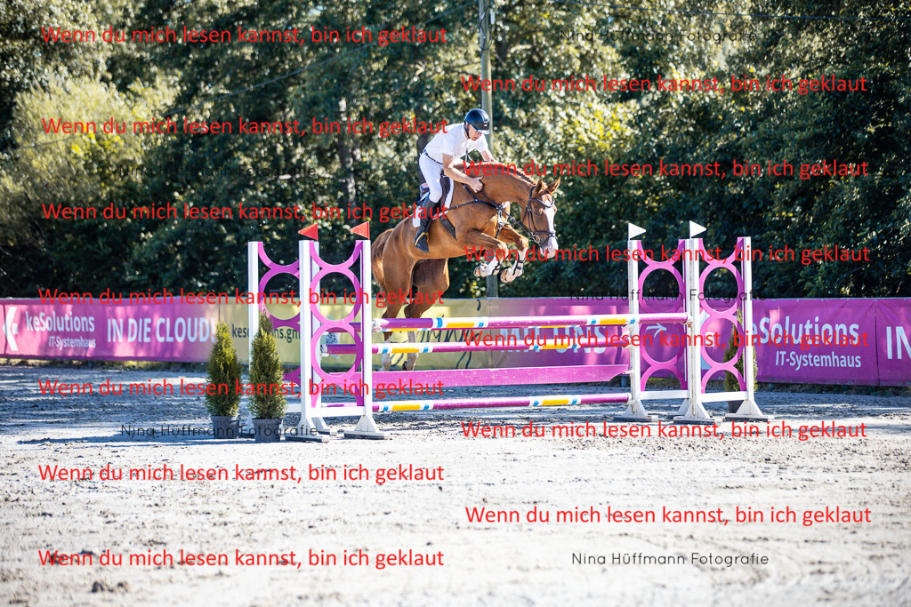 BK1A5805 | Turnierbilder Turnierfotos Nina Hüffmann Turnierfotografie Pferdefotografie Tierzeichnung Haustierzeichnung Pferdezeichnung Hundezeichnung Videograf  - Realisiert mit Pictrs.com