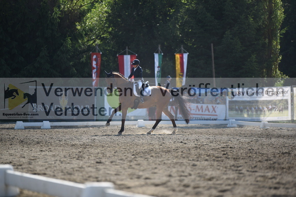 DSC_2530 | equestrian-live-com