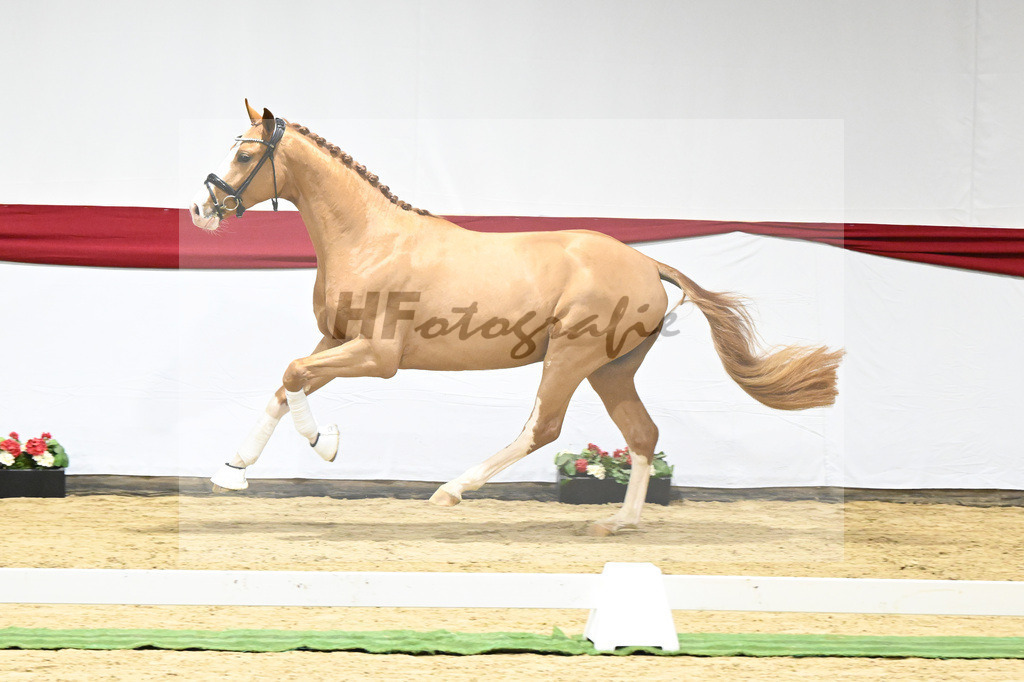 Kat-Nr. 10 v. Fuerst Samarant_Beckmann_63220051 | hf-fotografie - Realizzato con Pictrs.com