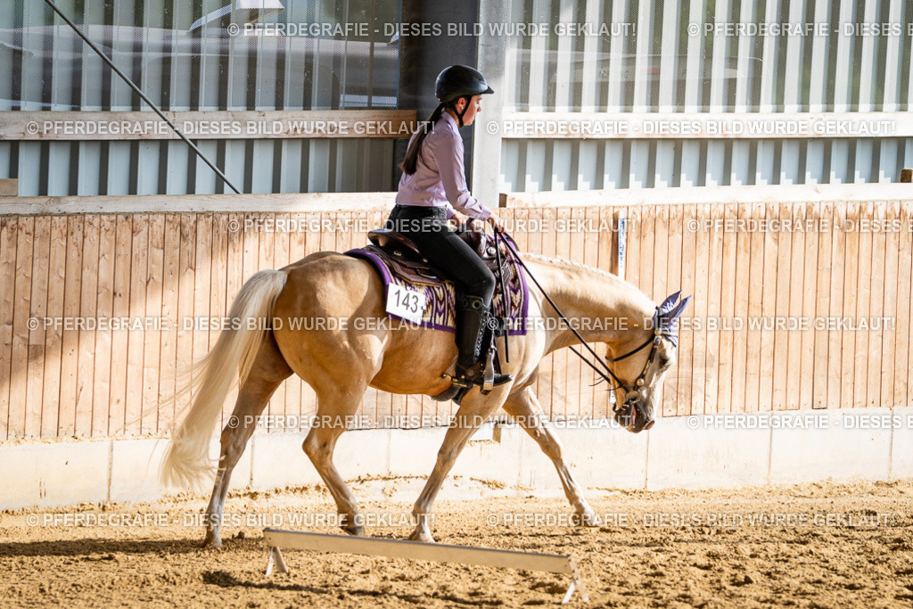 DSC07785 | Pferdegrafie