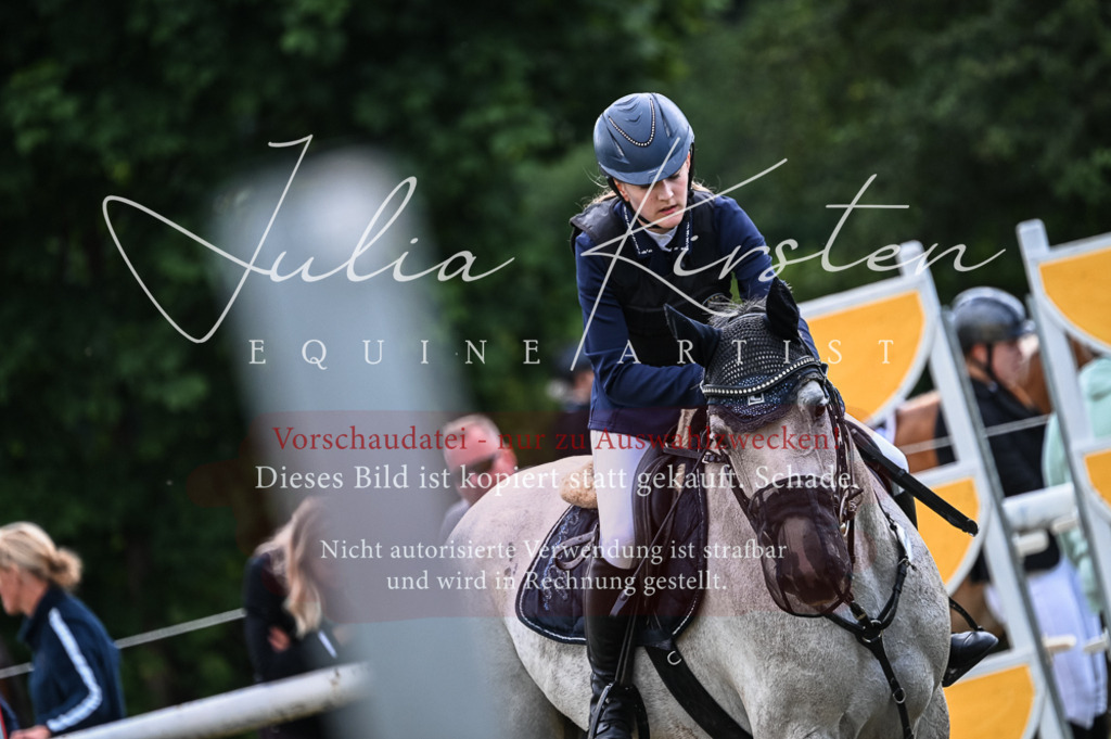 DSC_8159 | Pferde- und Turnierfotografie in Westsachsen. Pferdeportraits, Auftragszeichnungen und intuitive Kunst.