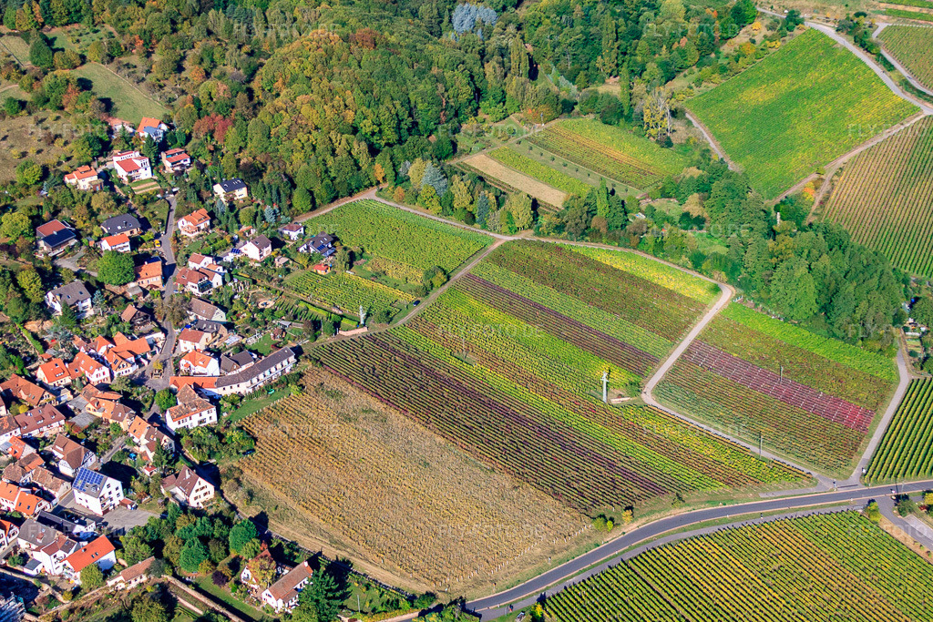 Luftbild: Bergstr in Gleisweiler im Bundesland Rheinland-Pfalz in Deutschland. Foto: IMG_22260.jpg vom 15.10.2009 durch Werner Riehm/FLY-FOTO.de