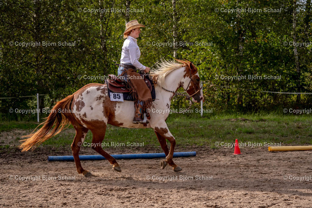 SAL03342 | BS-foto