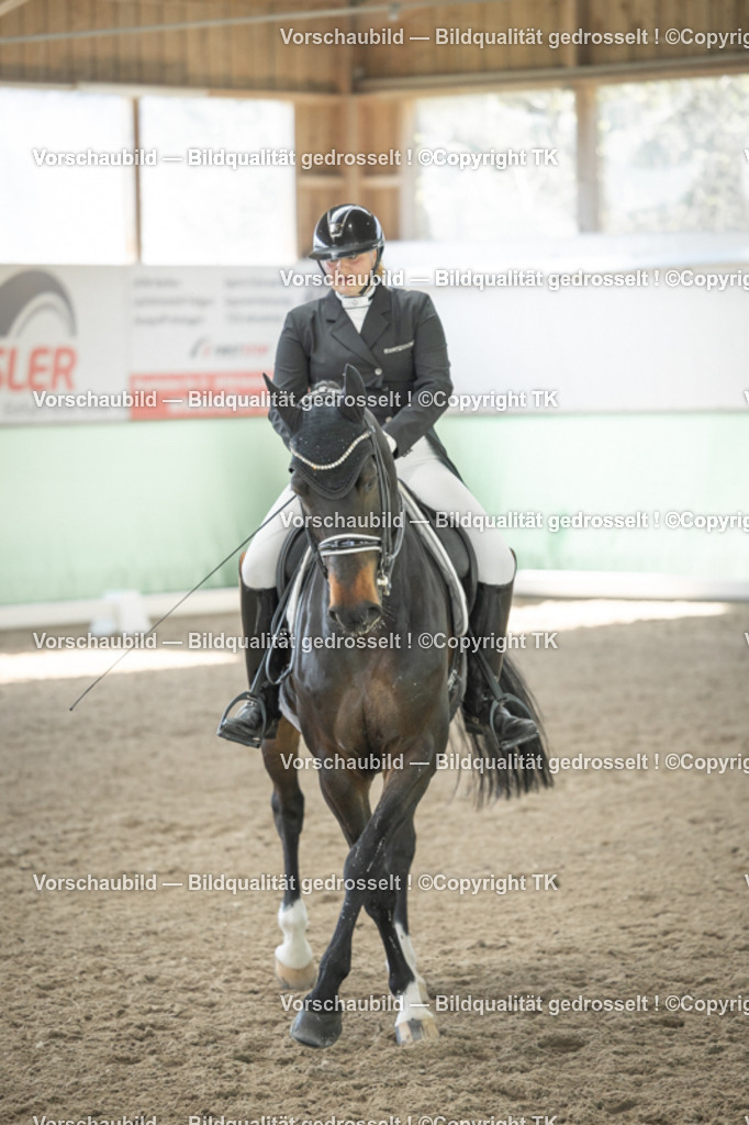 _D5A1906 | Emotionale Pferde- & People-Fotografie rund um Heidelberg, Leimen & Umgebung. Natürliche Fotos von Pferd, Mensch & Familie. Jetzt Termin sichern!