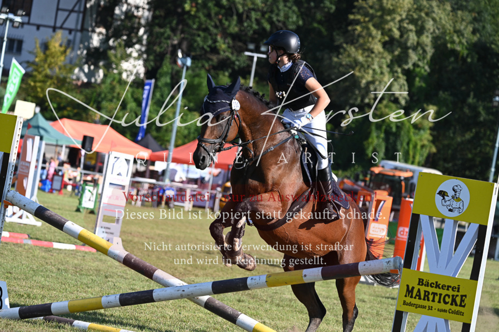 DSC_4852 | Pferde- und Turnierfotografie in Westsachsen. Pferdeportraits, Auftragszeichnungen und intuitive Kunst.