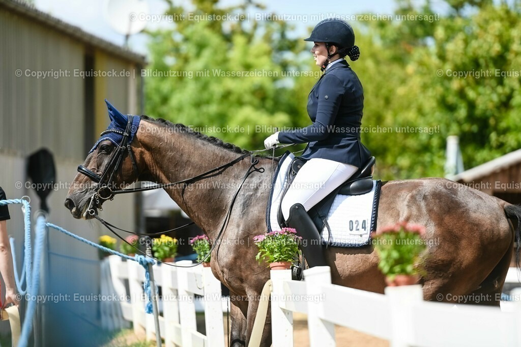 20230716_01_Dressurprüfung Kl.M_0316 | equistock