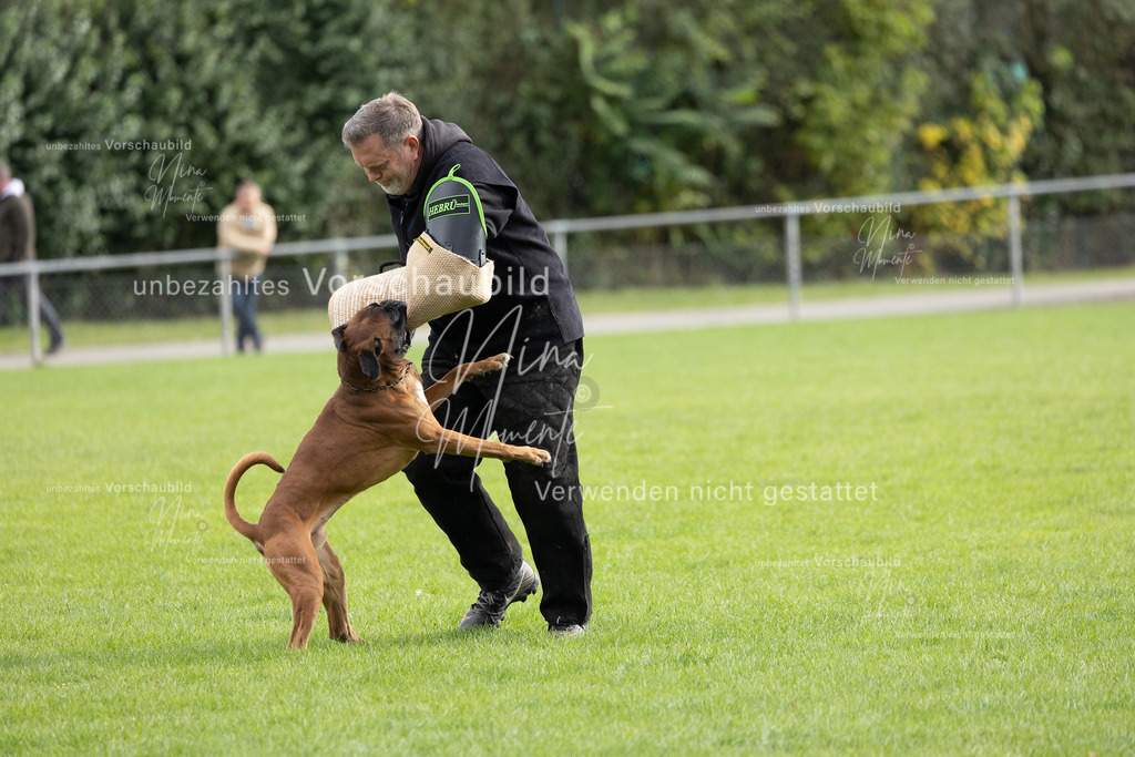 _16A7080 | Einzigartige Fotos von Hunden & Menschen –Actionfotos, Portraits, Vereinsaufnahmen & Paarshootings – authentisch, lebendig & mit Herz.