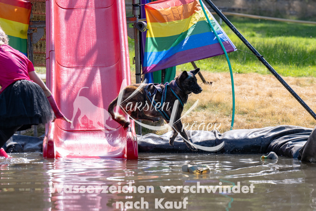 1414_ZZ94032 | kk-dogfotos