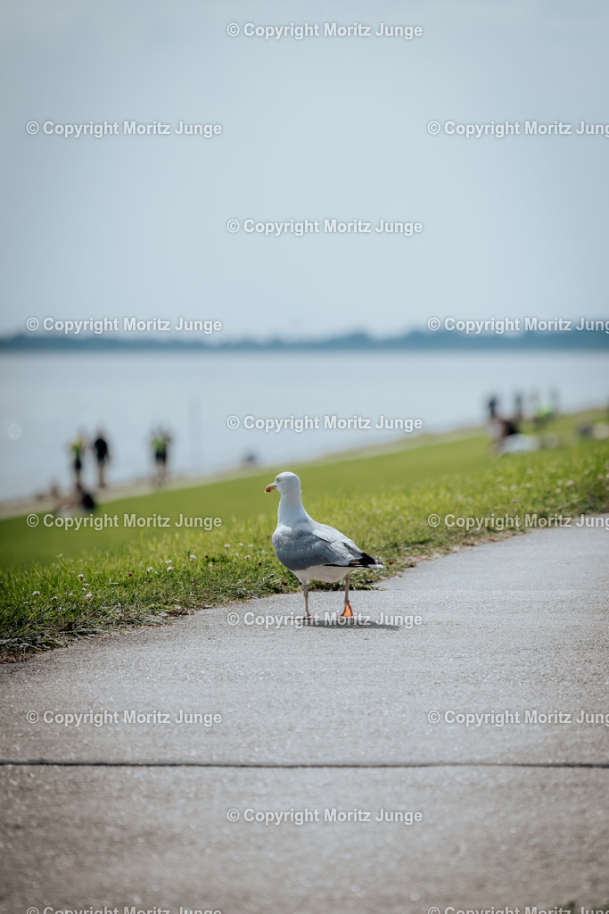 NordseeMan_NordseeWoman2025-4367 | moritz-junge - Realisiert mit Pictrs.com