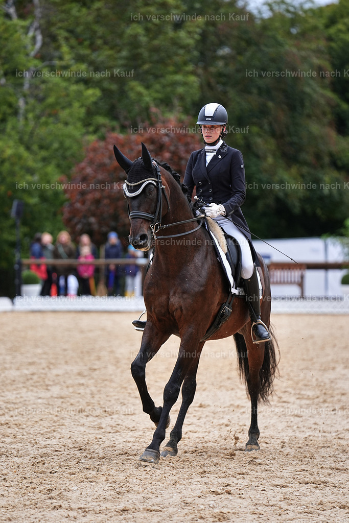 8_2-088-DRESSUR S_  -Marixx-4609 | working equitationturnier fotograf videograf stoibphotography marixx film working equitation deutschland reitsport turnierfotografie eventfotografie equestrian events