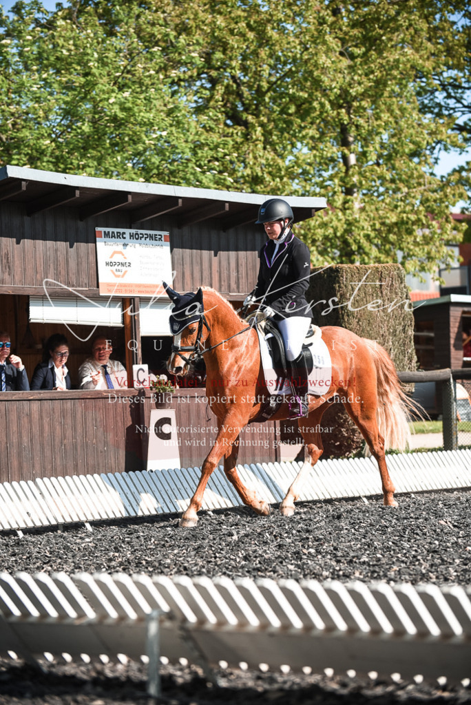 DSC_8411 | Pferde- und Turnierfotografie in Westsachsen. Pferdeportraits, Auftragszeichnungen und intuitive Kunst.