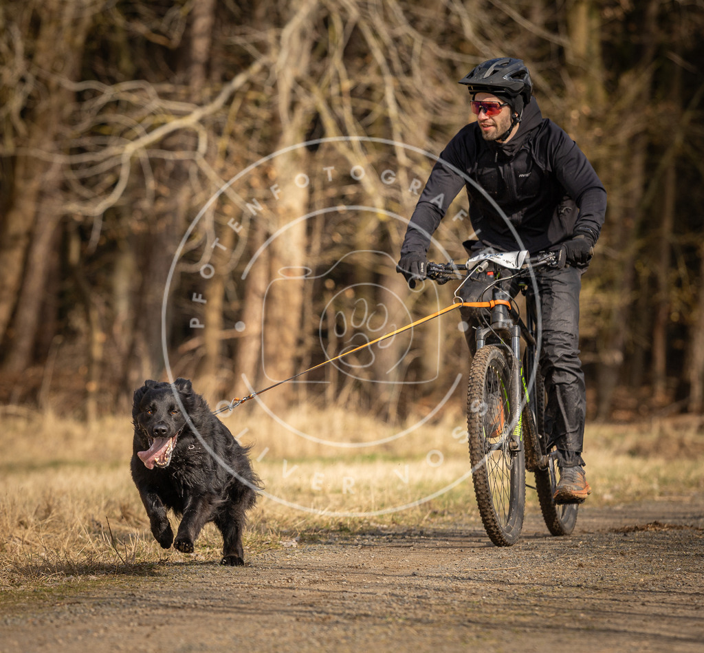 DV3A4395 | Hundefotografie, Tierfotograf, Pfotenfotografie, Fotoshooting Hund, Hunde Portrait, Hundesport, Hundeportraits, Heideshooting, Hunde, Sportfotograf, Hundefotograf, Turnierhundsport, THS,  - Realisiert mit Pictrs.com