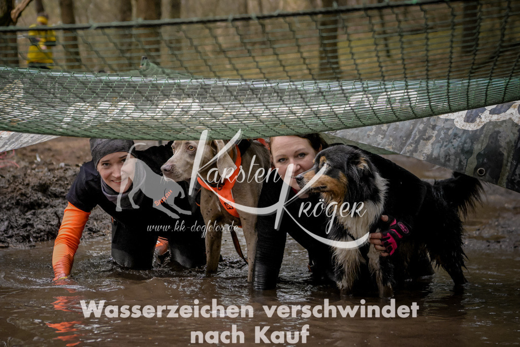 1003_ZZ99191 | kk-dogfotos