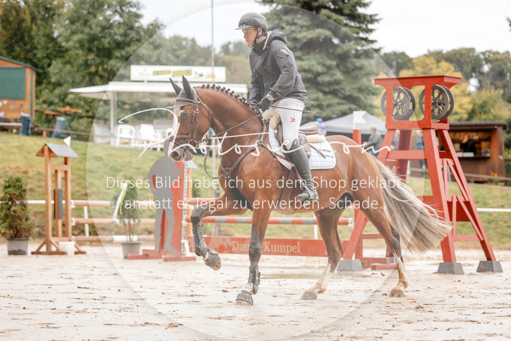 3I6A5506 | Stimmungsvolle Portraits und Reitsportfotografie im Ruhrgebiet und im Münsterland.

Pferdefotografie, Hundefotografie, Tierfotografie, Reportagen, Portraits von Tier und Mensch, Turnierfotografie in Bochum, Recklinghausen, Marl, Haltern am See, Dülmen.. - Realisiert mit Pictrs.com