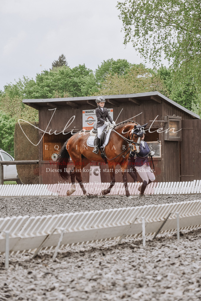 20230514_JK-Röhrsdorf-25-157 | Pferde- und Turnierfotografie in Westsachsen. Pferdeportraits, Auftragszeichnungen und intuitive Kunst.