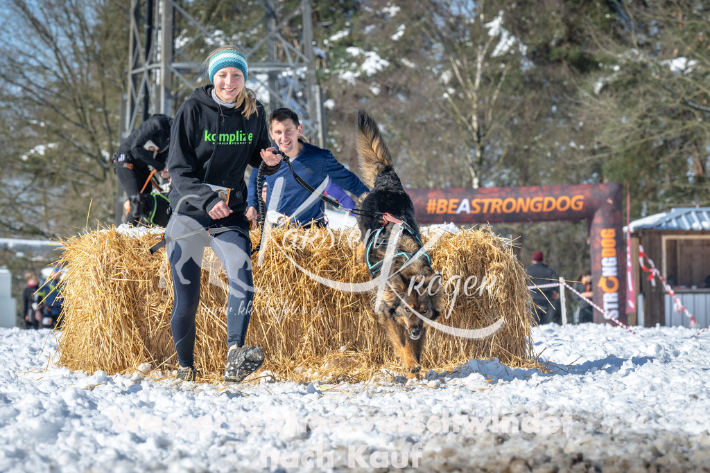 1130_ZZ92383-3 | kk-dogfotos