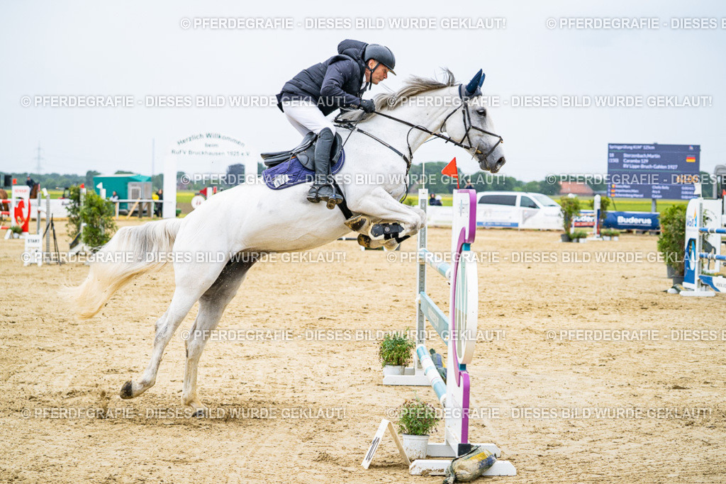 DSC07150 | Pferdegrafie