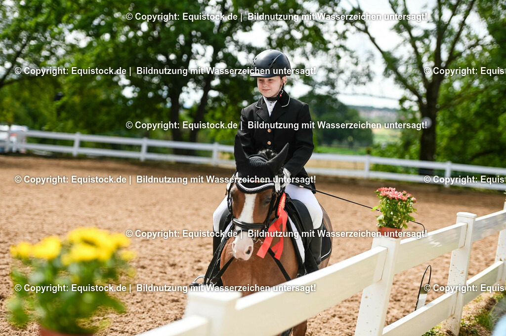 20230716_10-2_Reiter-WB Schritt - Trab - Galopp_0224 | equistock