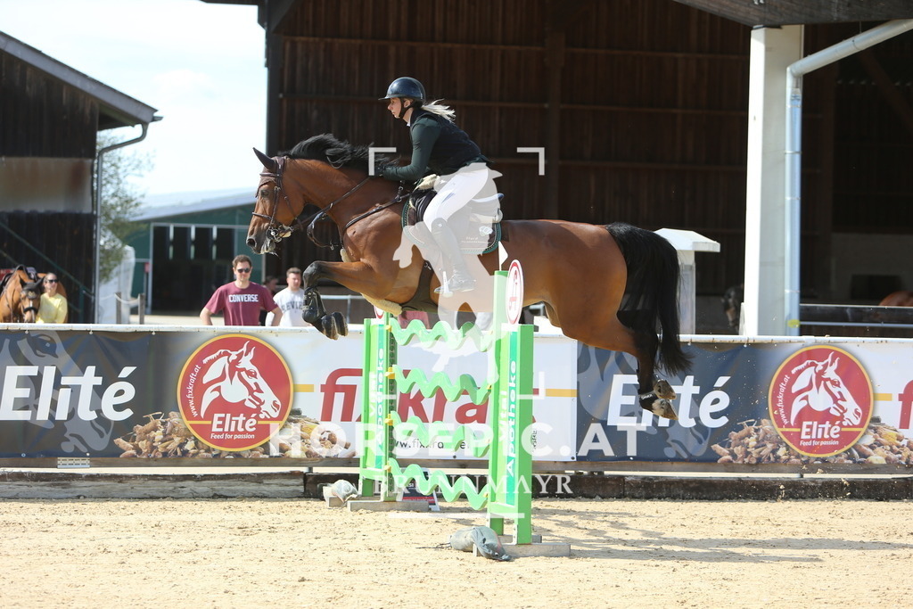 DL2Q6150 | Willkommen bei Brunnmayr - Design & Fotografie – Ihrem Spezialisten für Reitturniere und Pferdeveranstaltungen in Oberösterreich, Salzburg und Bayern! Seit über 17 Jahren sind wir leidenschaftlich dabei.