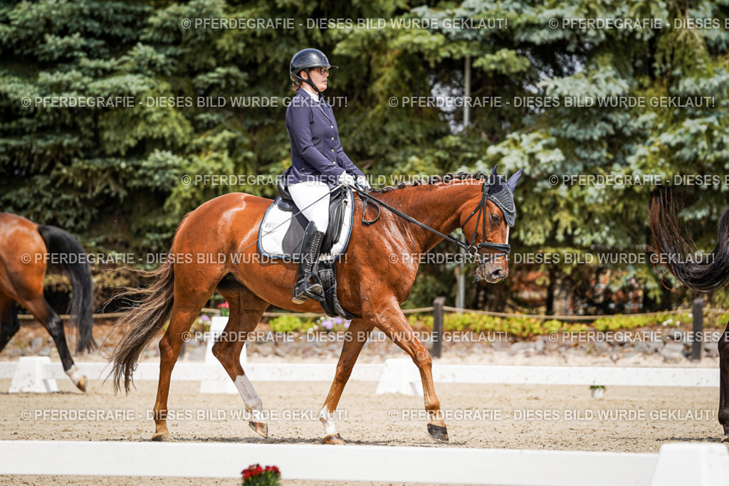 DSC02177 | Pferdegrafie