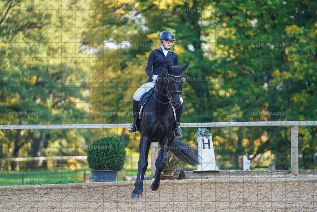 20221007-FAH00253 | Diessen am Ammersee, 2022, Dressur- und Springturnier, Reitsportbilder, Turnierfotografen Bayern, Pferdefotografen, Fotoagentur Herrmann, Turnierbilder
