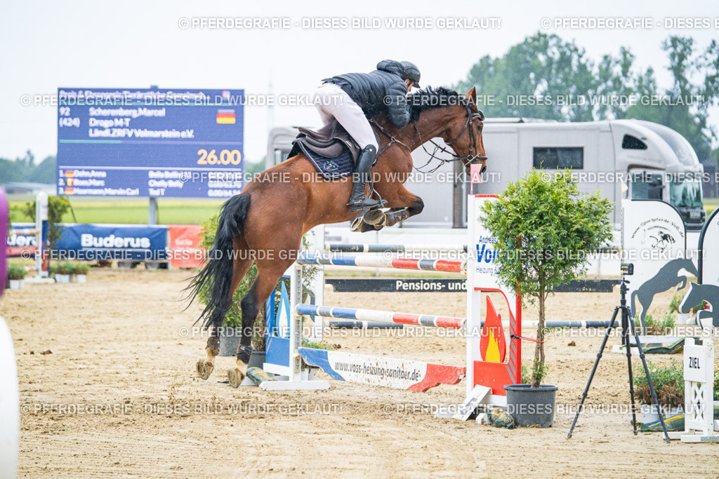 DSC09550 | Pferdegrafie