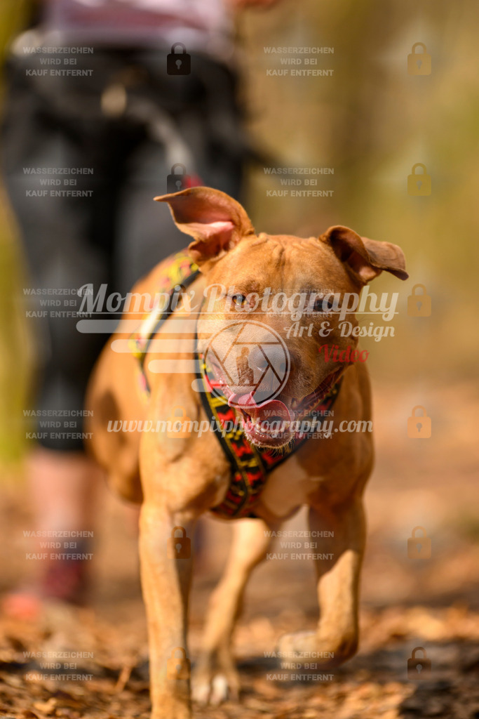 MompixPhotography_Habay2025_SA_CCC-132 | PayLife
