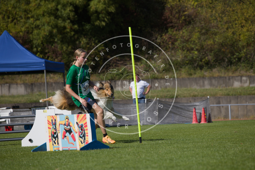 0L8A7693 | Hundefotografie, Tierfotograf, Pfotenfotografie, Fotoshooting Hund, Hunde Portrait, Hundesport, Hundeportraits, Heideshooting, Hunde, Sportfotograf, Hundefotograf, Turnierhundsport, THS,  - Realisiert mit Pictrs.com