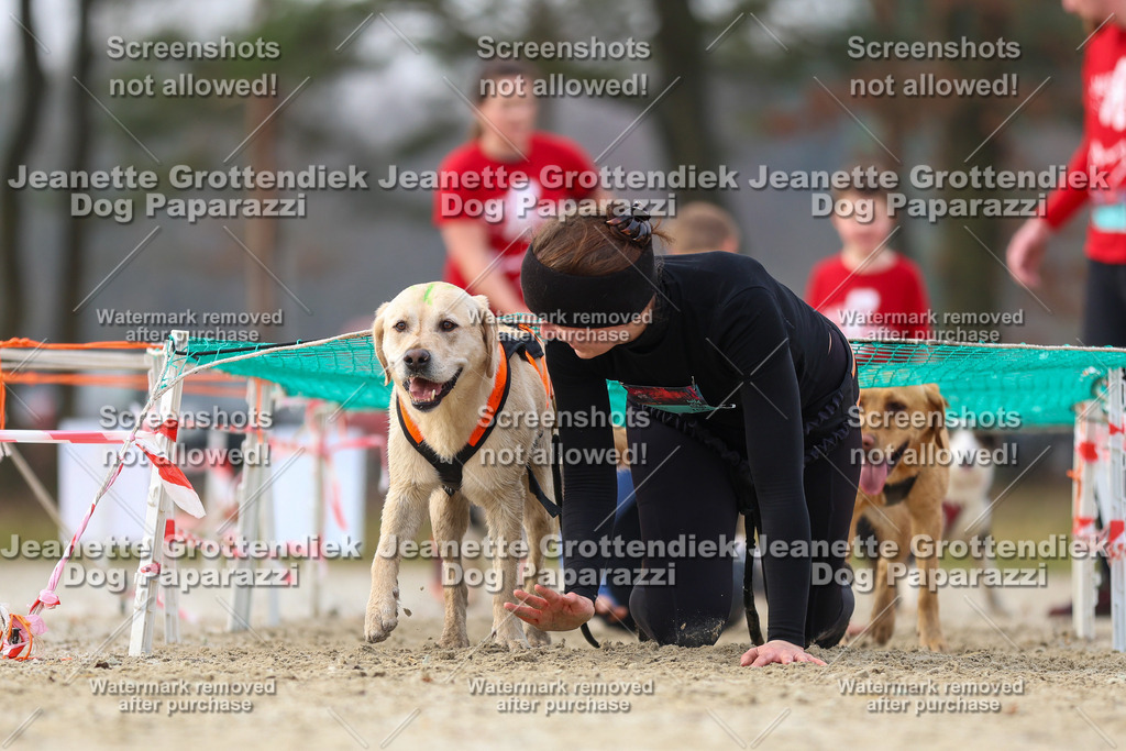 Dog Paparazzi - Strongdog North Mrz26-4204 | Dog Paparazzi Jeanette Grottendiek Fotografie & Videografie - Realisiert mit Pictrs.com