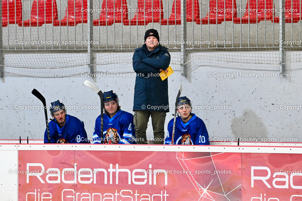  EC Tigers Paternion vs. EC Virgen 8.1.2022 | Spielerbank EC Tigers Paternion, #8 Ortner Sandro, #6 Ortner Hansjörg, #10 Ortner Philipp, Headcoach EC Tigers Paternion Buchbauer Thomas