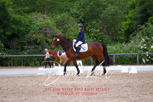 DKP46249 | Turnierfotos kaufen im Webshop von Daniel Kuhl Photography – entdecke professionelle Reitsportfotos aus Turnieren & Events. Hochwertige Turnierbilder online bestellen & sichern. Jetzt Fotos von Reitsportturnieren kaufen!
