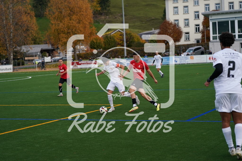 DSC00212 | rabefotos